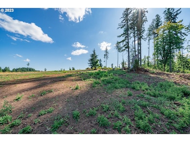 0 S Silver Lake Rd unit 1 23501672, Castle Rock, WA 98611 - photo 4