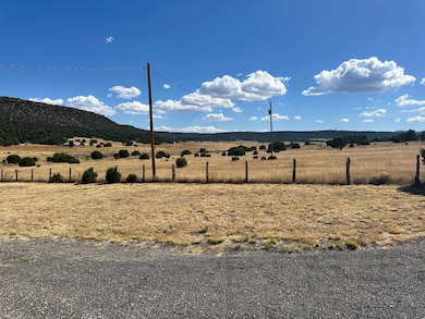23 Arrowhead Ln, Quemado, NM 87829 - photo 7