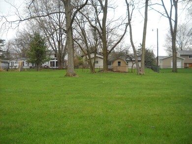 Oversized Backyard