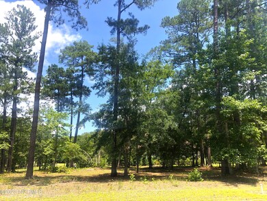 580 Lindgrove Place SW, Ocean Isle Beach, NC 28469 - photo 7