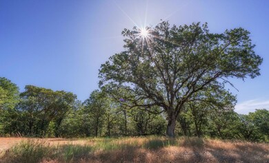10584 Blackwell Rd, Central Point, OR 97502 - photo 2
