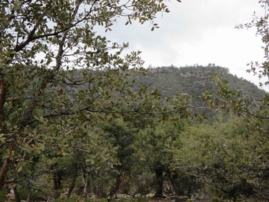 Photo 06