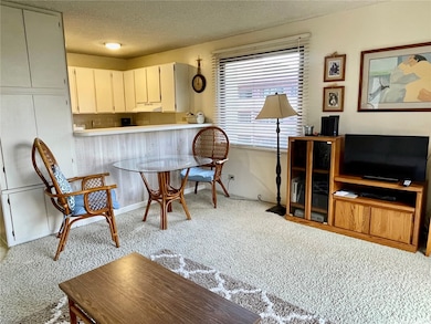 The Four Paddles unit 509, Honolulu, HI 96815 - photo 2