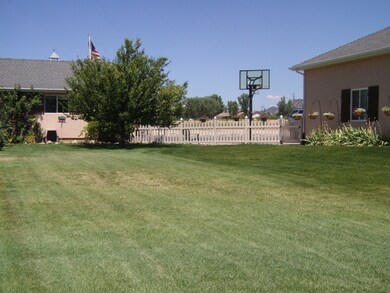 Basketball Court off Backyard