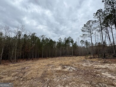 0 Bastonville Rd unit 10627311, Gibson, GA 30810 - photo 5