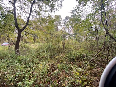 TBD Bandy Rd Whitaker Ridge Area, Bandy, VA 24602 - photo 7