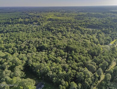 1510 Sulphur Springs Rd, Camden, MS 39045 - photo 6