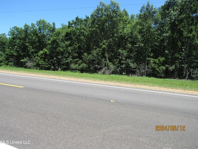 0 3rd St, Yazoo City, MS 39194 - photo 3
