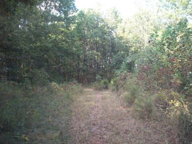 trails on sides and back of property