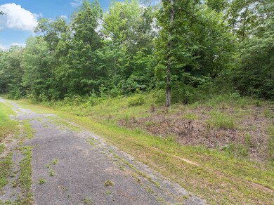 213 Jason Hollow Rd, Cedar Grove, TN 38321 - photo 6