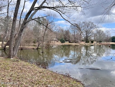 0 Old Orchard Rd unit 4102935, Madison, MS 39110 - photo 7