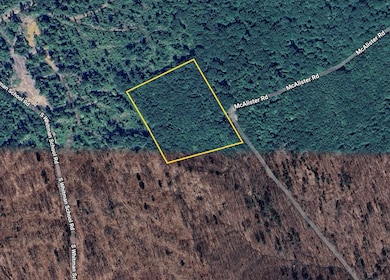 6.79 A End McAllister Rd, Buckfield, ME 04220 - photo 5