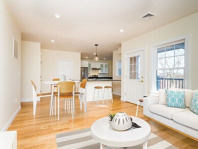 8 Greenville St unit 2, Roxbury, MA 02119 - photo 4