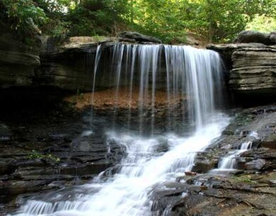 -- Savidge Cir Judy Dr, Bella Vista, AR 72715 - photo 5