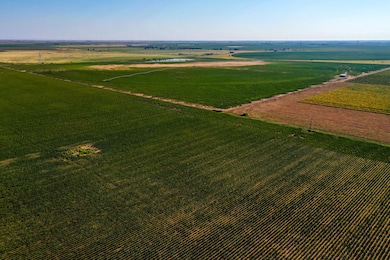 1736 C R 5500, Lubbock, TX 79403 - photo 3