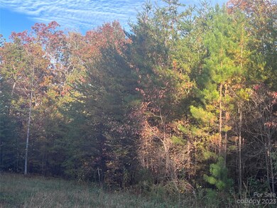 0 Shady Bark Ln unit 40 CAR4070380, Rutherfordton, NC 28139 - photo 3