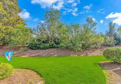 159 Chenoa Dr unit D, Murrells Inlet, SC 29576 - photo 3