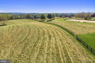 2575 Five Points Rd, Marshall, VA 20115 - photo 5