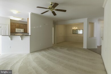 1011 Samantha Ln unit 5-203, Odenton, MD 21113 - photo 6