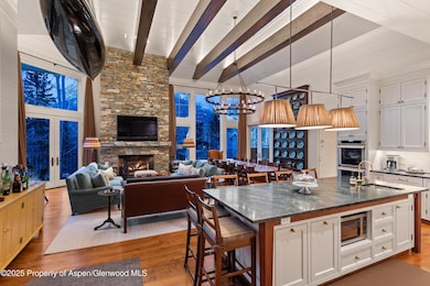 304 S Garmisch St, Aspen, CO 81611 - photo 7