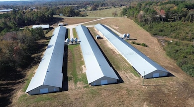 3050, Hackleburg, AL 35564 - photo 4