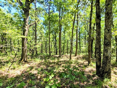 169378 Indian Hwy, Kiamichi Christian Mission, OK 74549 - photo 4