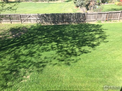 Back Yard Center