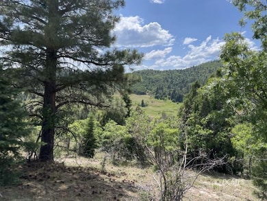 View of meadow across valley