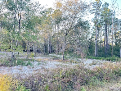 9855 Light Ave, Saint Augustine, FL 32145 - photo 2