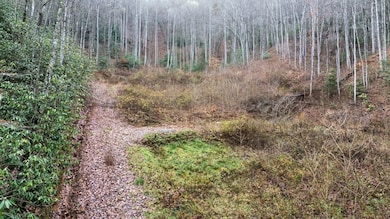 1182 Tunnel Mountain Rd, Sylva, NC 28779 - photo 5