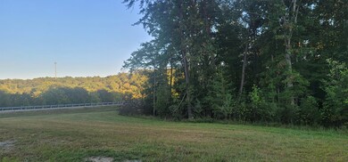 0 State Hwy 111 unit RTC2995387, Spencer, TN 38585 - photo 2