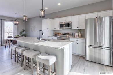 18165 Polk Ct, Omaha, NE 68135 - photo 2