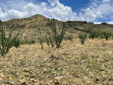 mid-point east view