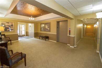 603 Aqua Marine Blvd unit 3, Avon Lake, OH 44012 - photo 2