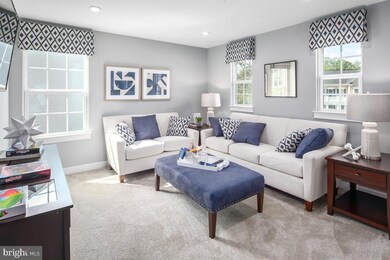 5342 Striped Maple St, Frederick, MD 21703 - photo 5