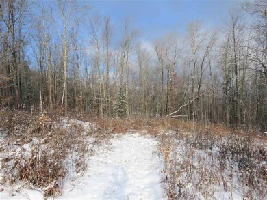 6115 Lake Rd, Newport Center, VT 05857 - photo 7