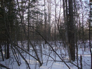 West Shore Trail
