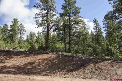 0 Calico Ct unit 696694, Durango, CO 81301 - photo 2