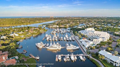 Clubhouse & Marina Aerial