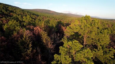 TBD Oklahoma 128, Heavener, OK 74937 - photo 4