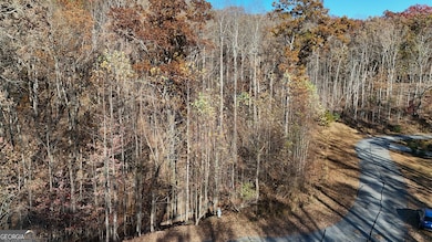 LOT 198 N Shore Dr, Cleveland, GA 30528 - photo 2