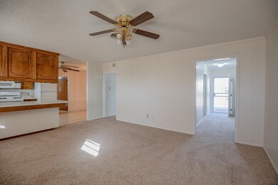 509 Sunrise Ave, Alamogordo, NM 88310 - photo 5