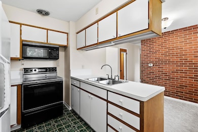 Bruning St 8118 Portage 49002-10