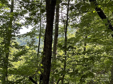 67 Peppervine Cir, Rosman, NC 28772 - photo 4