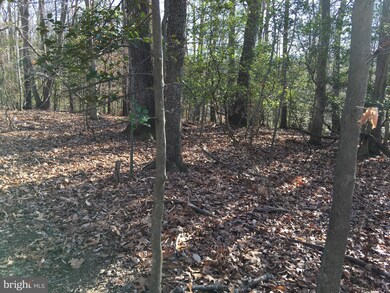 12791 Westside Rd, Manassas, VA 20112 - photo 6