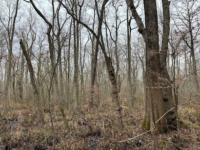 000 Fleming Mill Rd, Pocomoke City, MD 21851 - photo 7