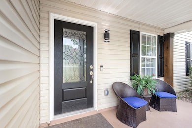 262 Milky Way, Greer, SC 29651 - photo 5