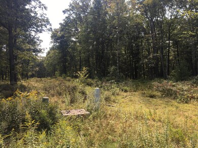 Lot 130 Springwood Dr, Hawley, PA 18428 - photo 7