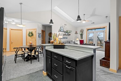 8253 Mayo Dr unit 310, Madison, WI 53719 - photo 6