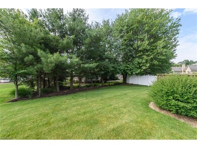 Back Yard, Irregular Lot